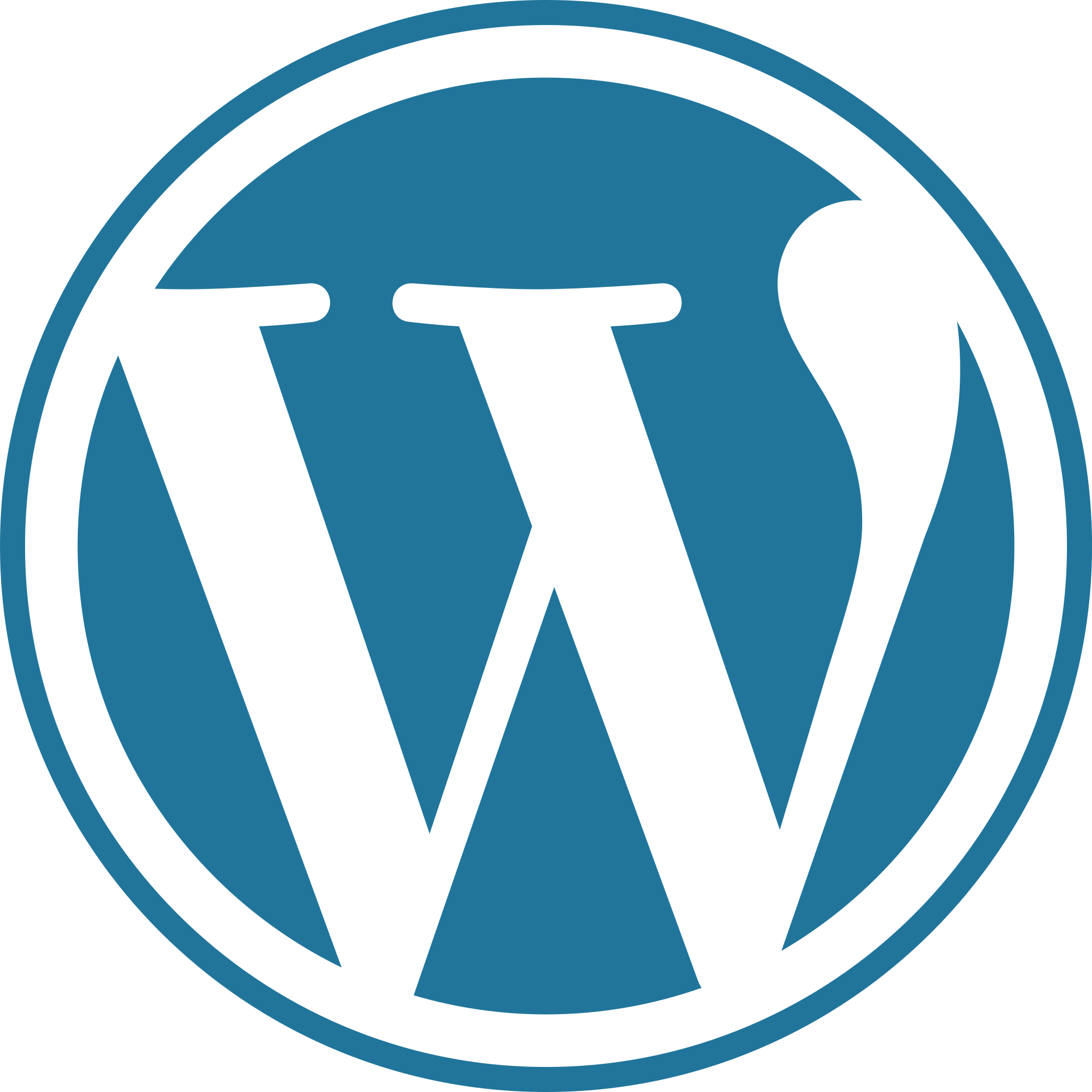 Setzen Sie auf Spitzenleistung mit unserer professionellen WordPress-Agentur